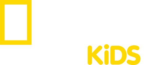 National Geographic Kids Logo