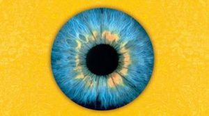 Your Amazing Eyes!