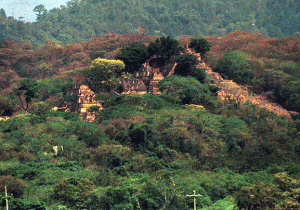Satellite images hint at lost Mayan city
